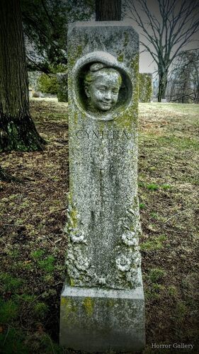 Необычный могильный памятник (172)