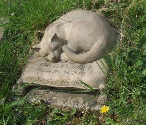 Необычный могильный памятник (220)