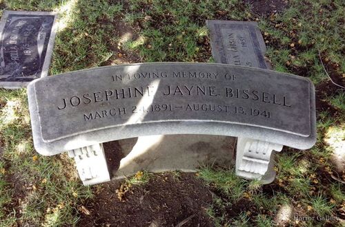 Необычный могильный памятник (193)