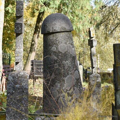 Необычный могильный памятник (171)