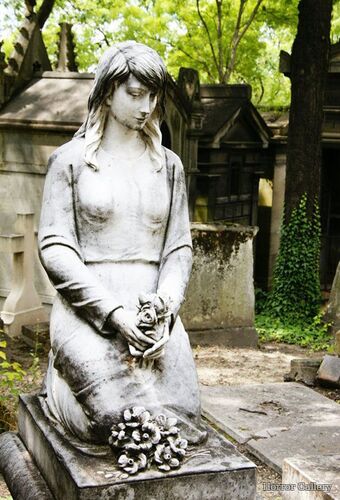 Погребальное искусство (102)