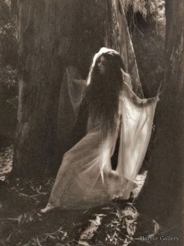Молодая ведьма в лесу