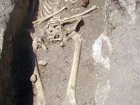 Скелет великана в каменной могиле