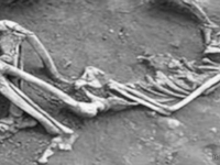 Скелет гиганта 3.8 метра