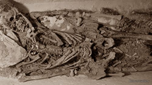 Скелет гиганта 2.4 метра