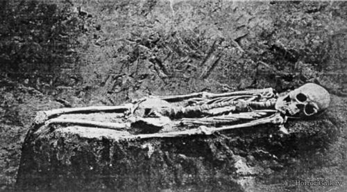 Скелет гиганта 2.2 метра