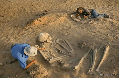 Археологи со скелетом гиганта