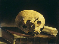 Человеческий череп на книге со свертком