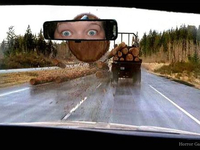 Бревно летящее в кабину авто
