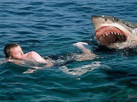 Нападение акулы на купальщика