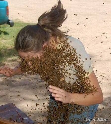 Нападение пчёл на девушку