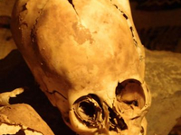 Паракасский череп