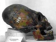 Вытянутый череп 177 (Паракас)