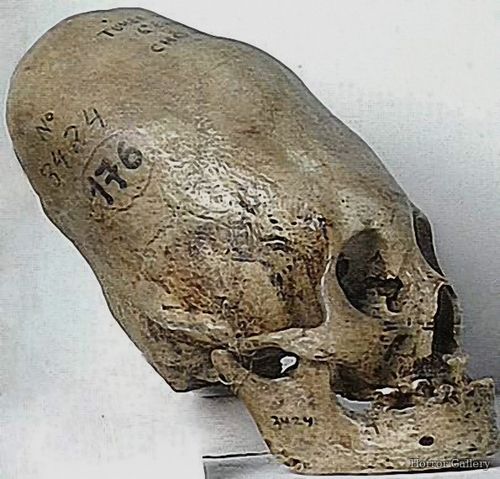 Вытянутый череп (Chongos)