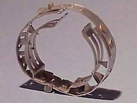 Сперматорические кольца (XIX век)