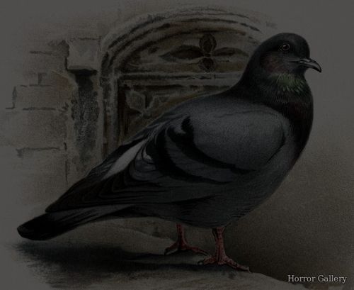 Маркиз Шакс