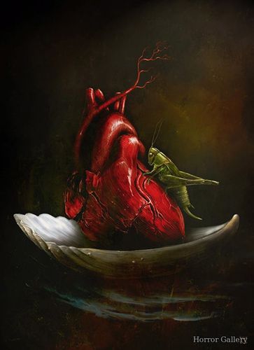 Сердце на створке раковины