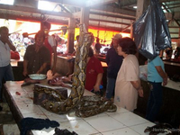 Индонезийские деликатесы (13)