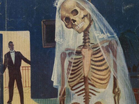 Прикольная картинка (102)