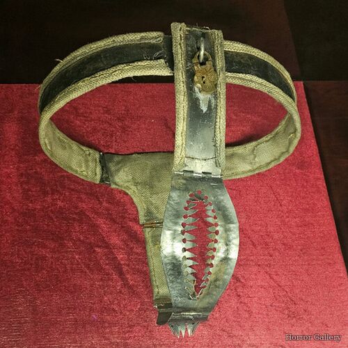 Женский пояс верности (35)