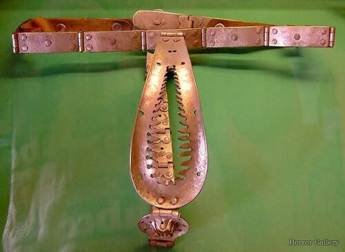 Женский пояс верности (36)