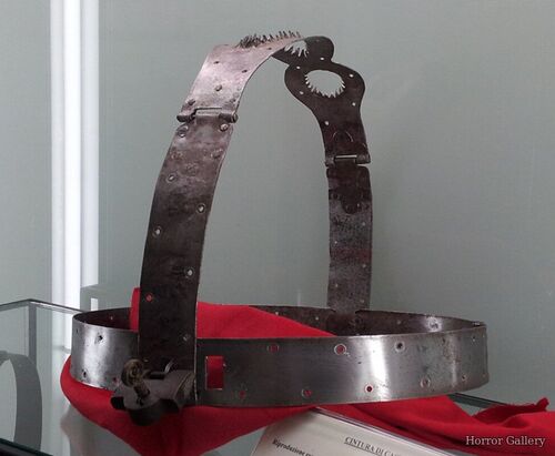 Женский пояс верности (48)