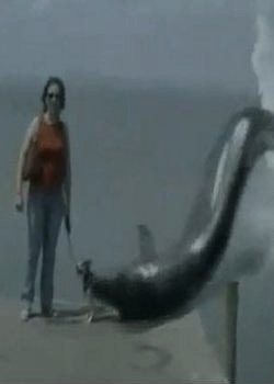 Гигантская морская змея