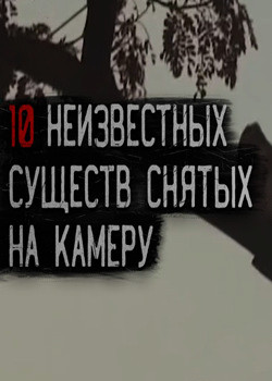 10 загадочных существ 2020 года